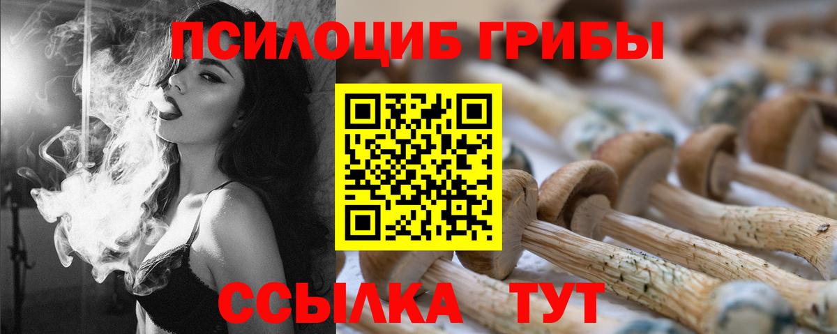 Псилоцибиновые грибы мухоморы Гулькевичи